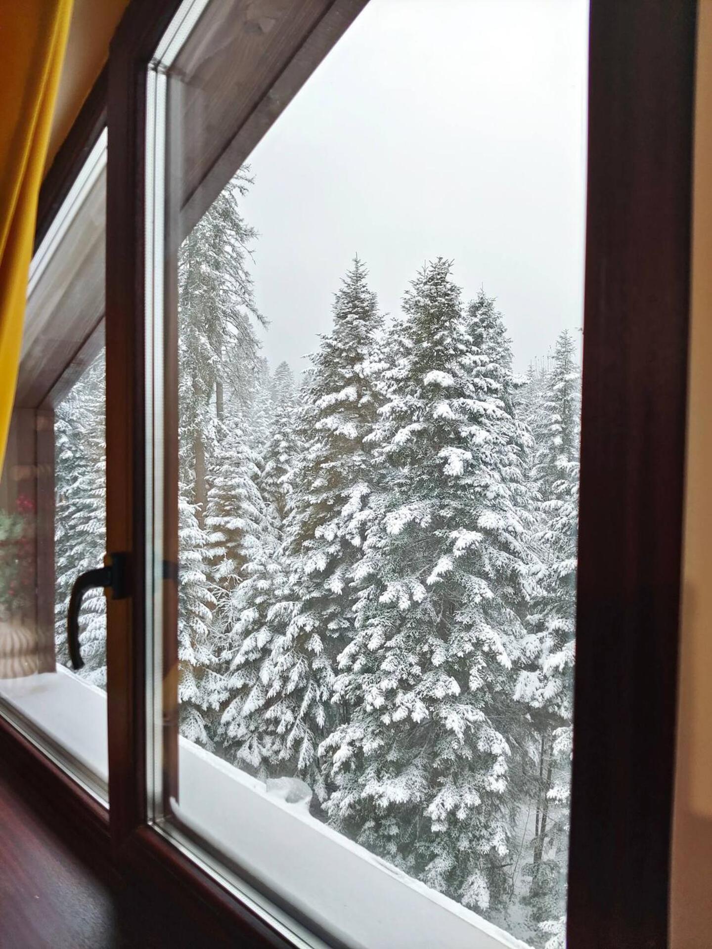 Borovets Dream Studio Экстерьер фото