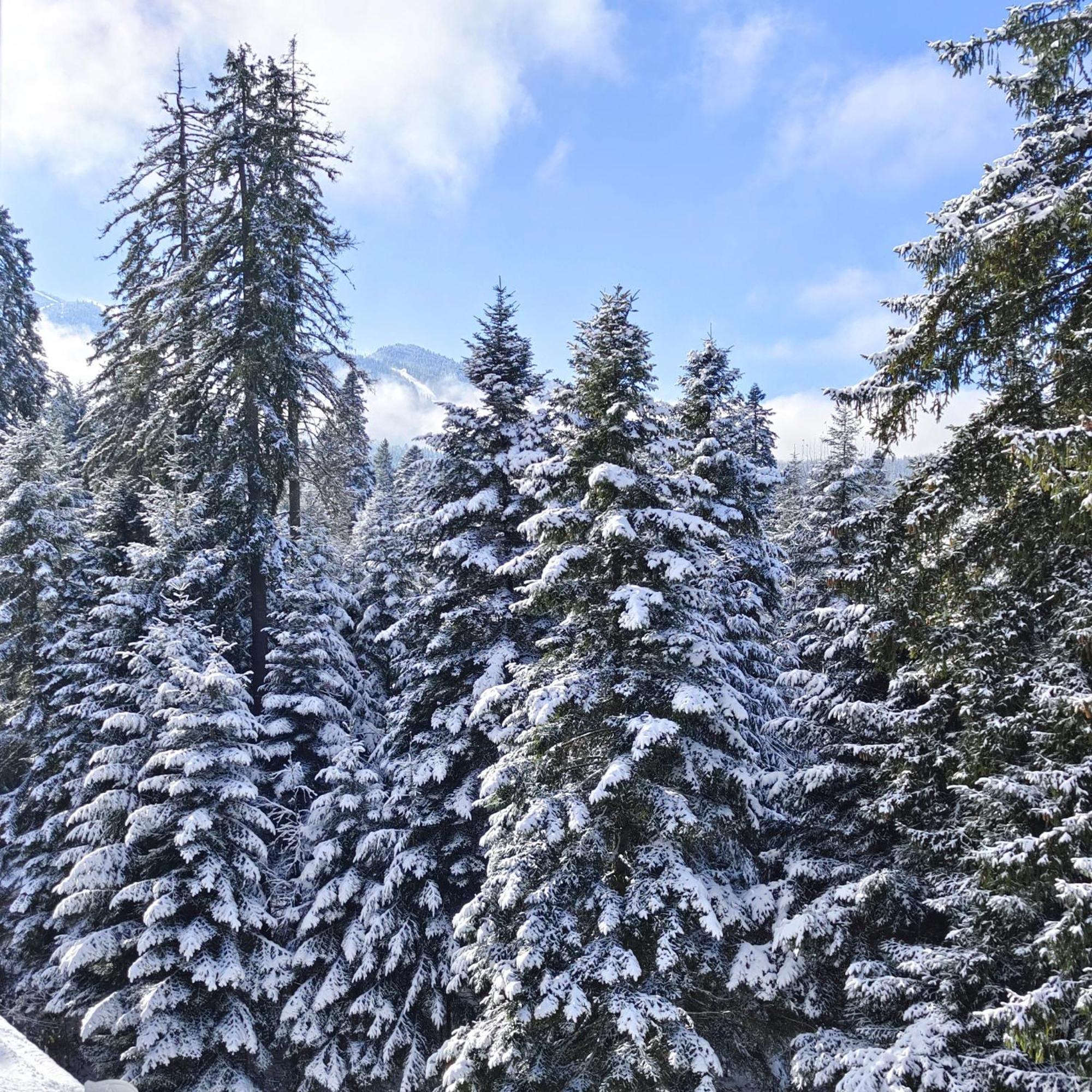Borovets Dream Studio Экстерьер фото